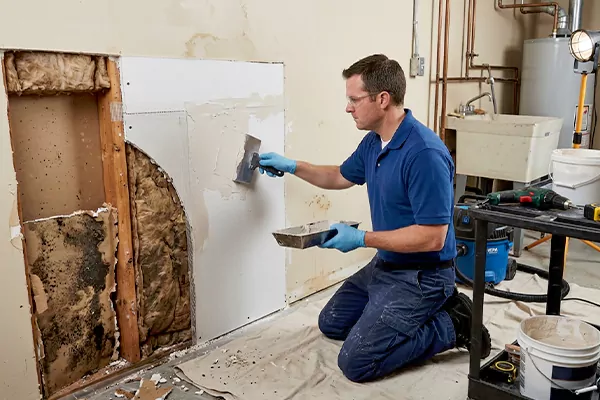 Mold and Drywall Repair Herriman
