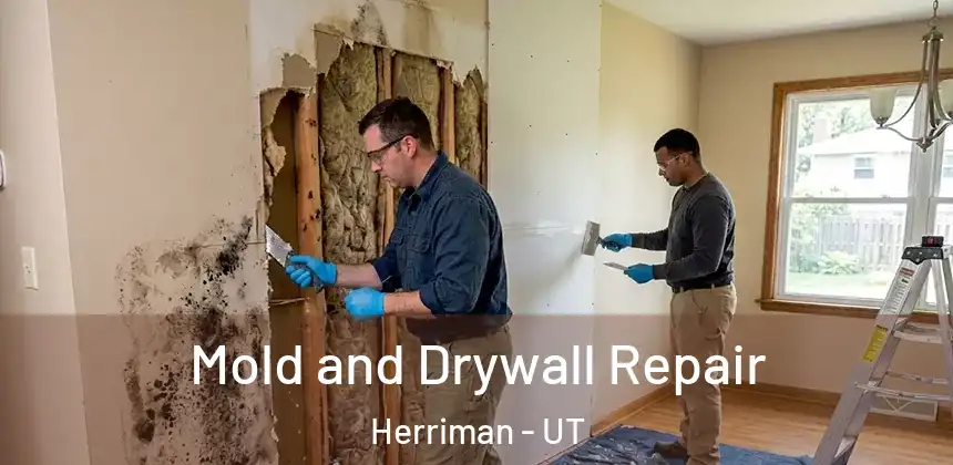 Mold and Drywall Repair Herriman - UT
