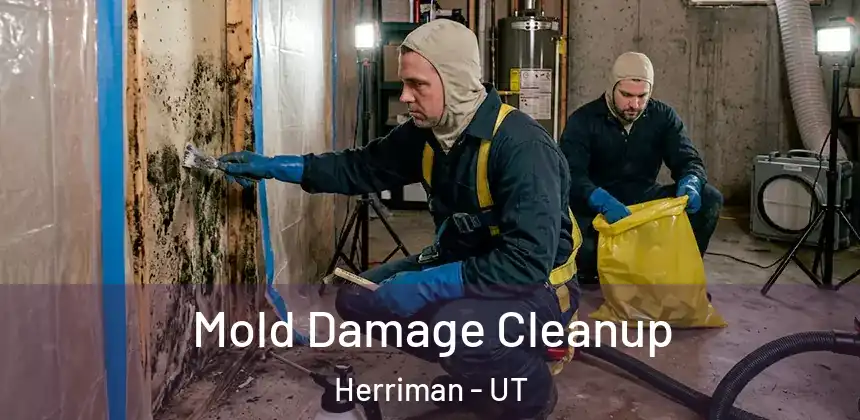 Mold Damage Cleanup Herriman - UT
