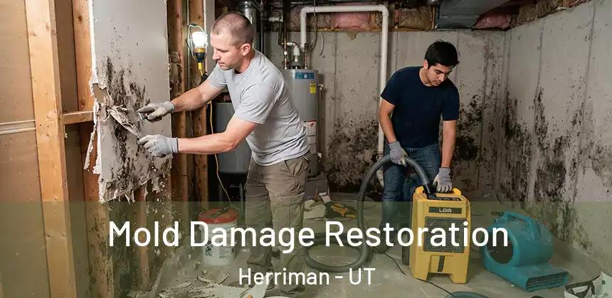  Mold Damage Restoration Herriman - UT