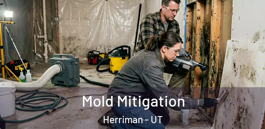 Mold Mitigation Herriman - UT