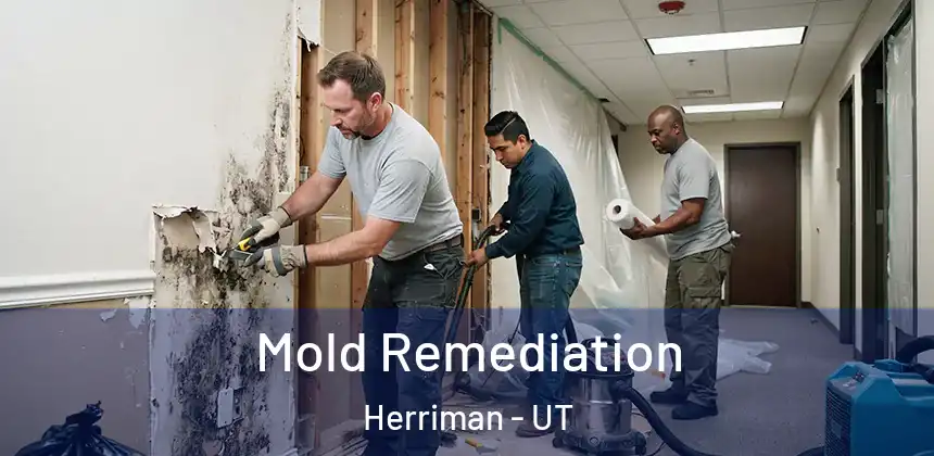  Mold Remediation Herriman - UT