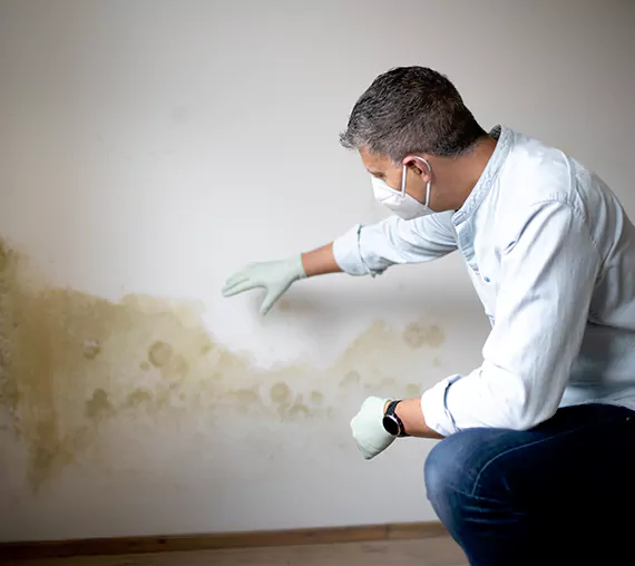 Mold Removal Service in Herriman, UT