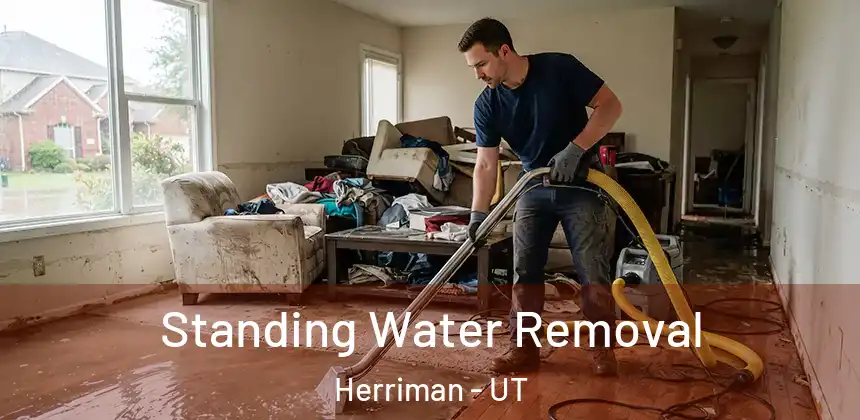  Standing Water Removal Herriman - UT