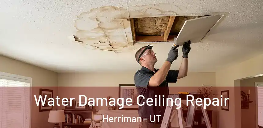  Water Damage Ceiling Repair Herriman - UT