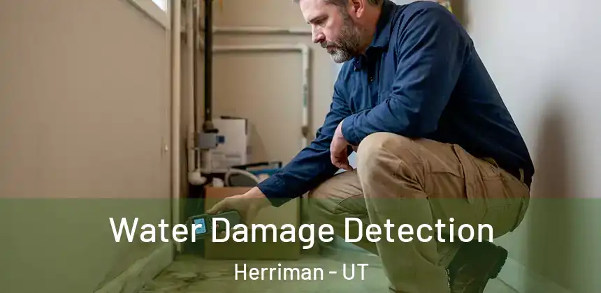 Water Damage Detection Herriman - UT