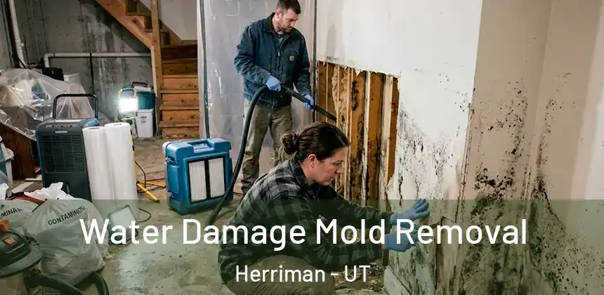 Water Damage Mold Removal Herriman - UT