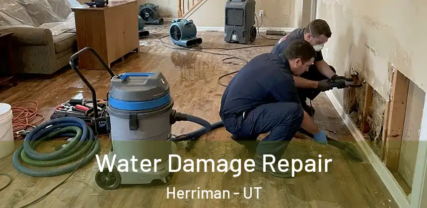  Water Damage Repair Herriman - UT