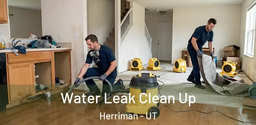  Water Leak Clean Up Herriman - UT