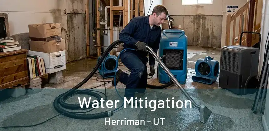 Water Mitigation Herriman - UT
