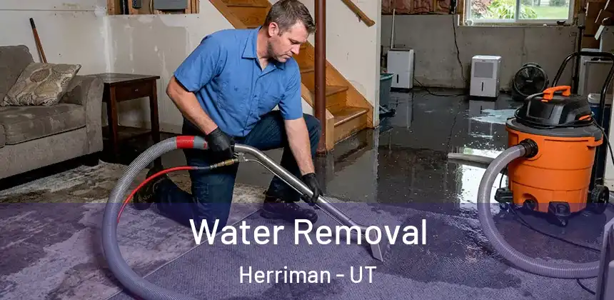  Water Removal Herriman - UT