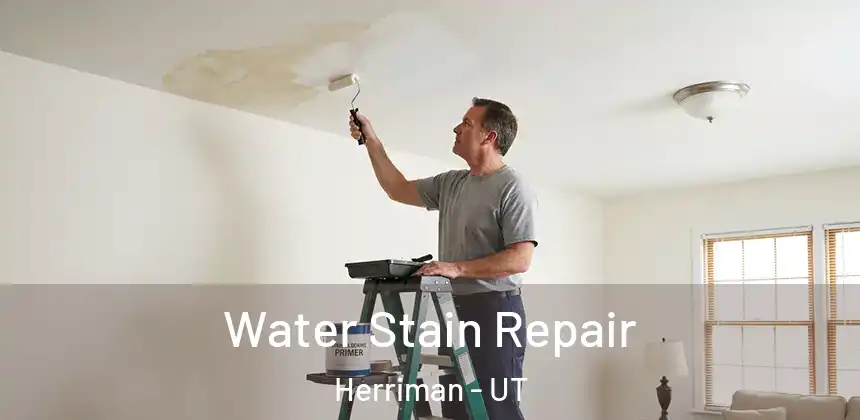 Water Stain Repair Herriman - UT